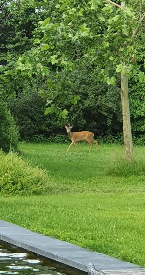 De Appelhoeve Terschuur Eksteriør bilde