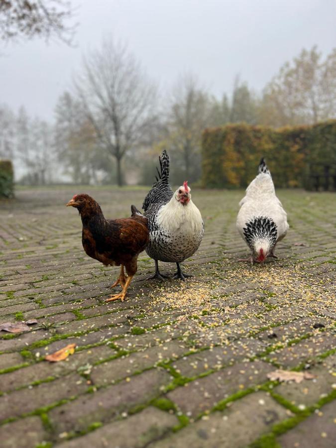 De Appelhoeve Terschuur Eksteriør bilde